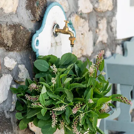 Villa Koevirigo Csaladi Birtok