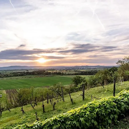 Villa Koevirigo Csaladi Birtok