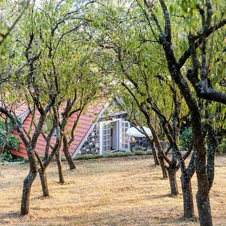 Kövirigó Családi Birtok * Gyulakeszi