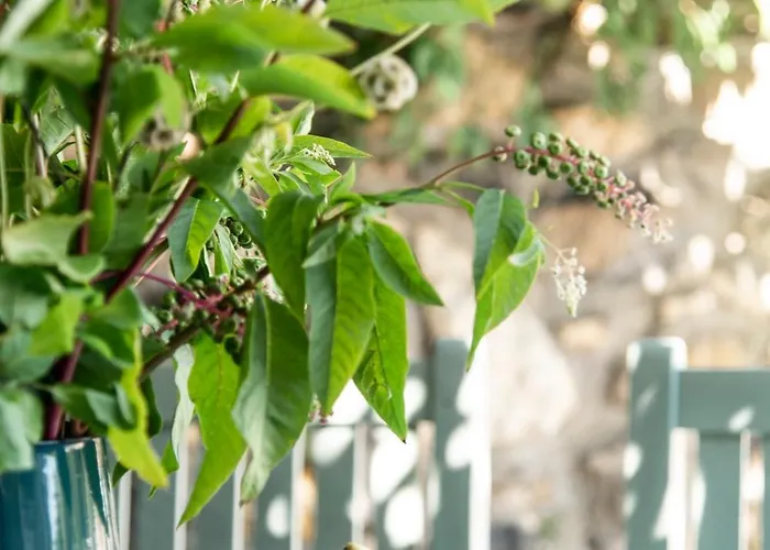 ヴィラ Koevirigo Csaladi Birtok *