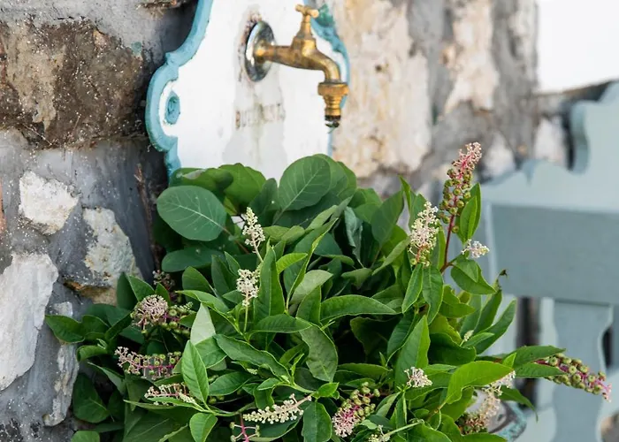 Βίλα Koevirigo Csaladi Birtok