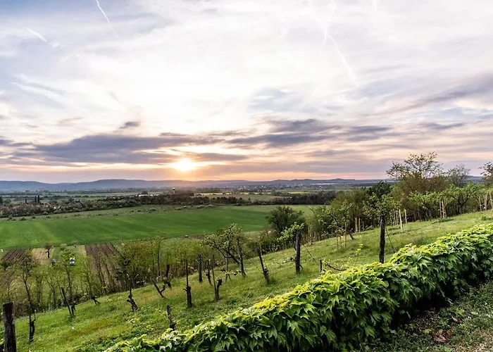 Βίλα Koevirigo Csaladi Birtok