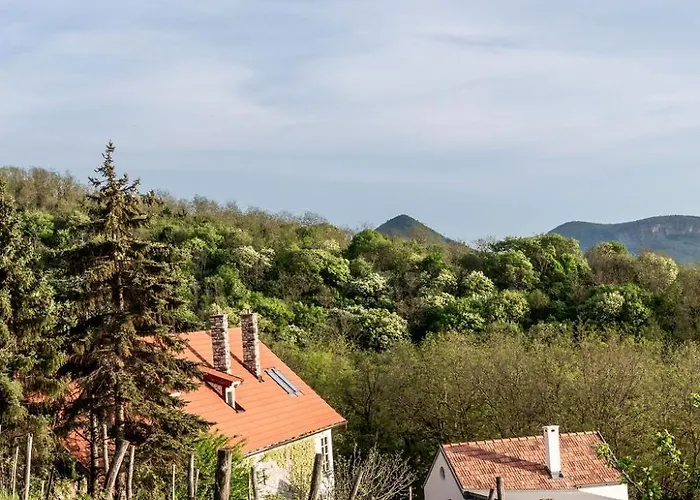 Koevirigo Csaladi Birtok Βίλα *